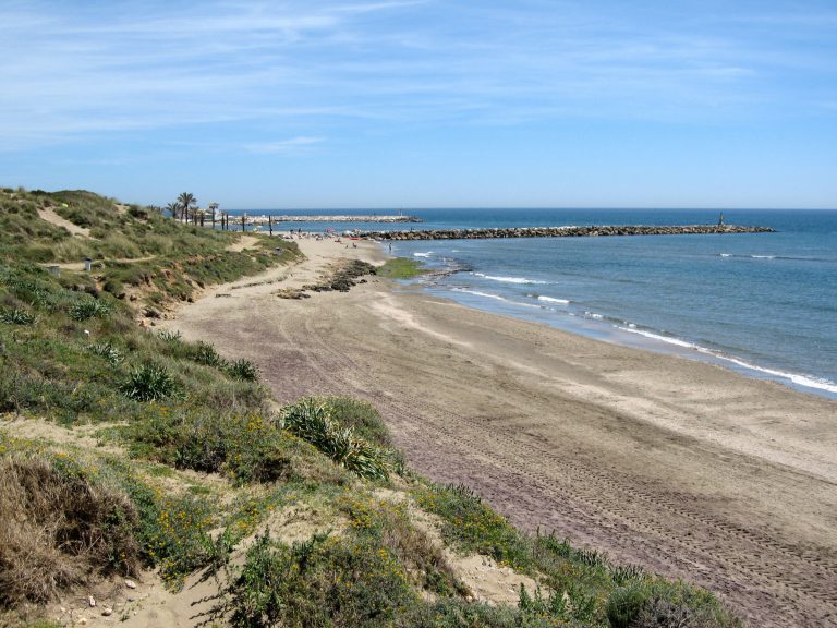'Dunes and beach at Artola near Cabopino, east Marbella, with the port breakwater in the distance'