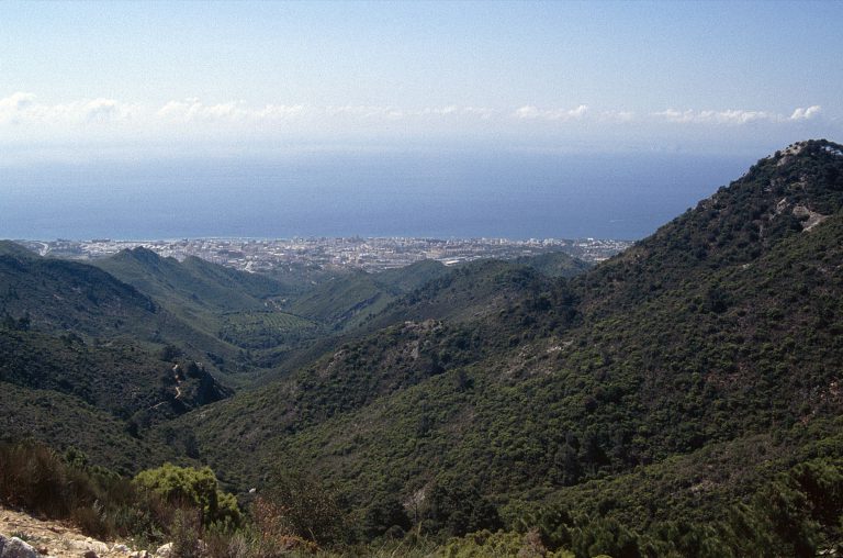 'Wooded slopes of the Sierra Blanca looking down towards Marbella and the Mediterranean'