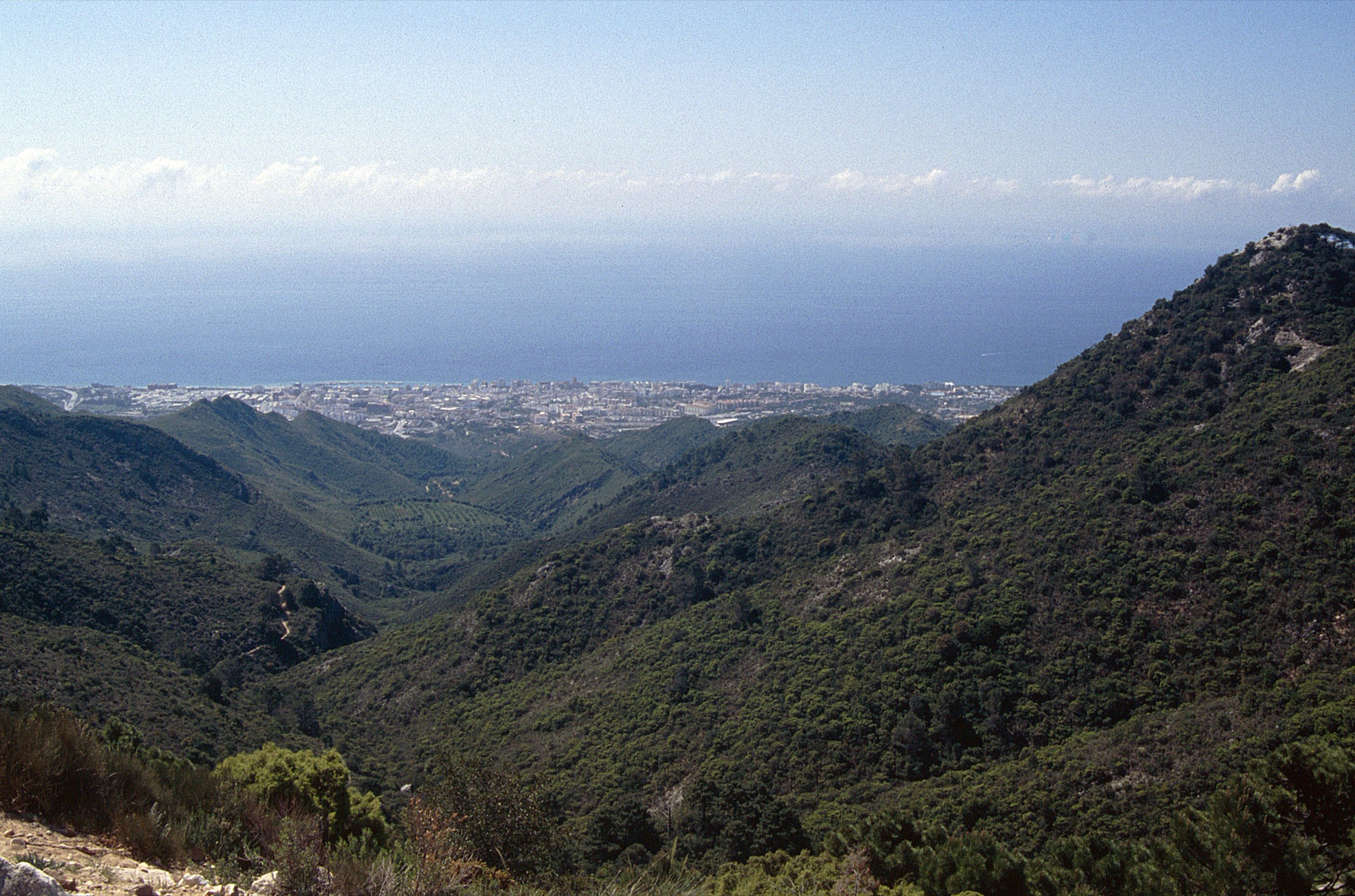 Wooded slopes of the Sierra Blanca looking down towards Marbella and the Mediterranean