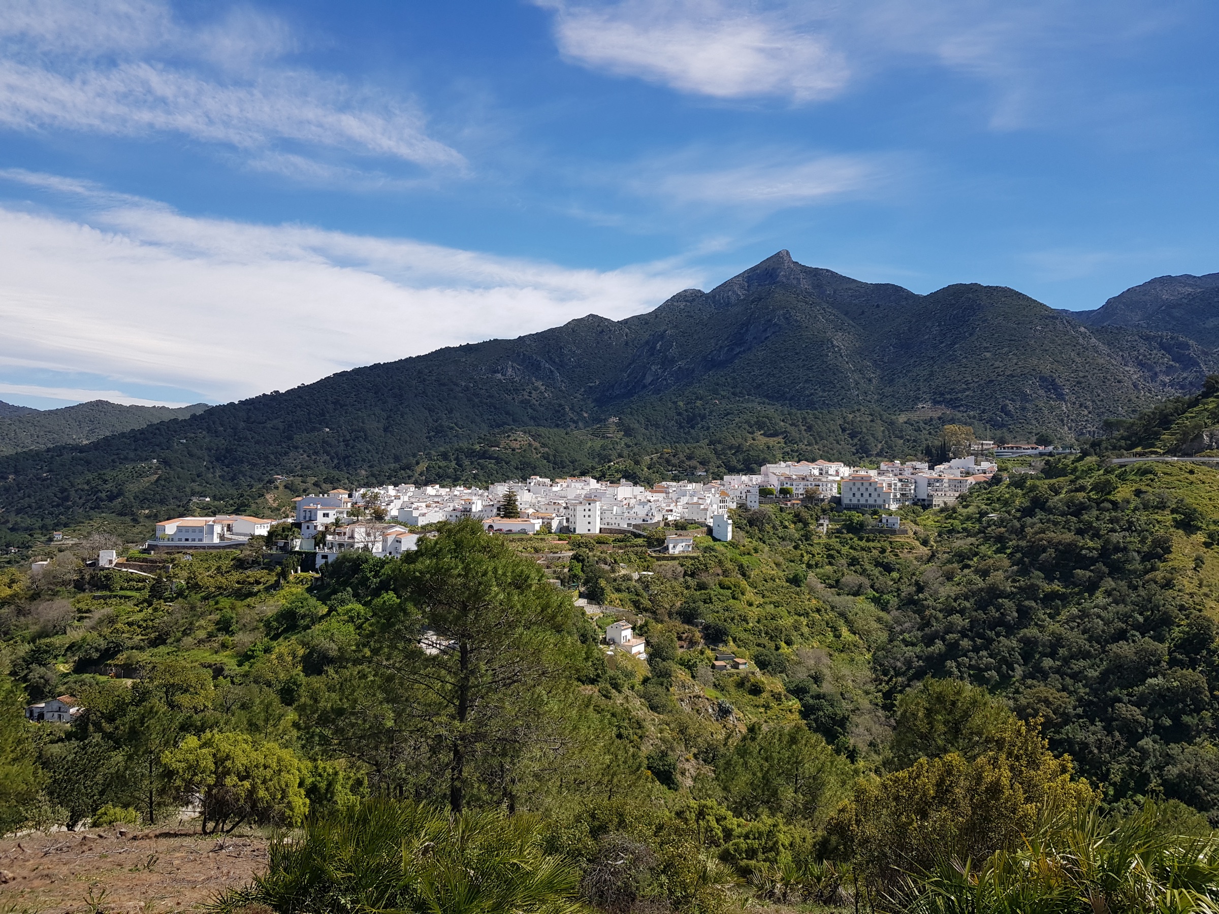 El pueblo blanco de Istán en una ladera verde bajo los picos de la Sierra de las Nieves